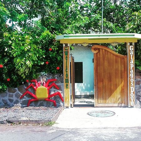 Galapagos Dove Hotel Puerto Ayora  Exterior photo